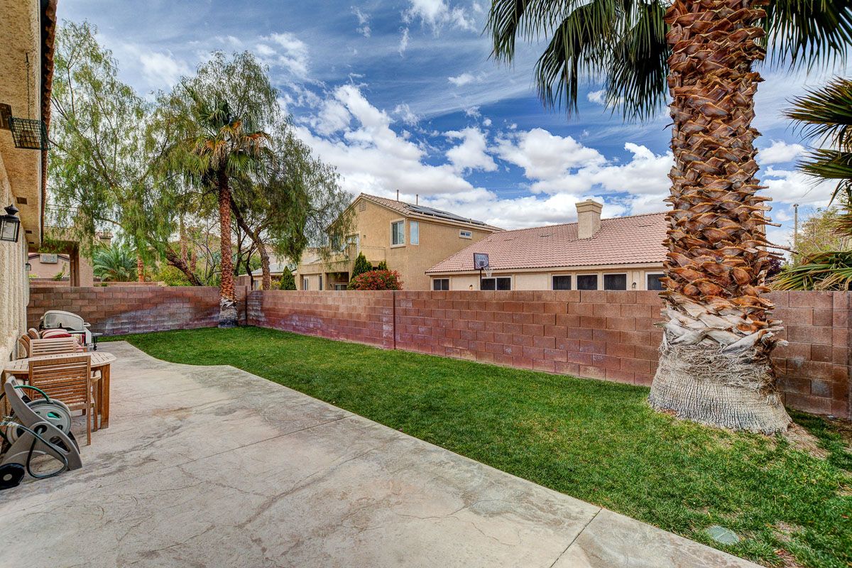 Backyard with palm trees and grass